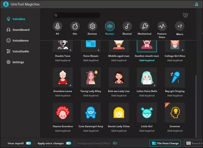 UnicTool MagicVox User Interface