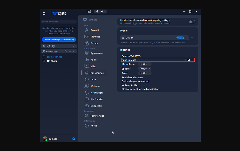 adjust settings in teamspeak