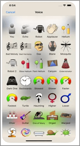 보이스 체인저 플러스